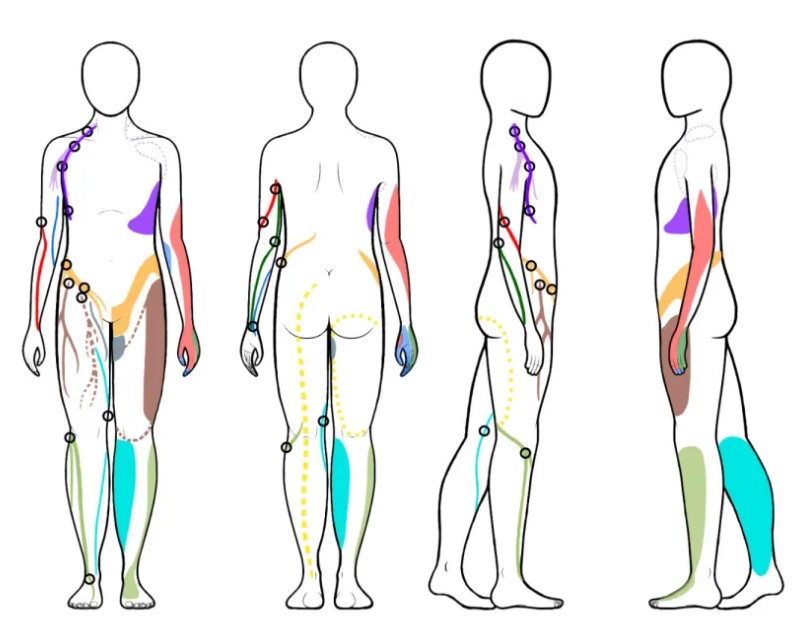 Major nerved to watch out for & their locations
